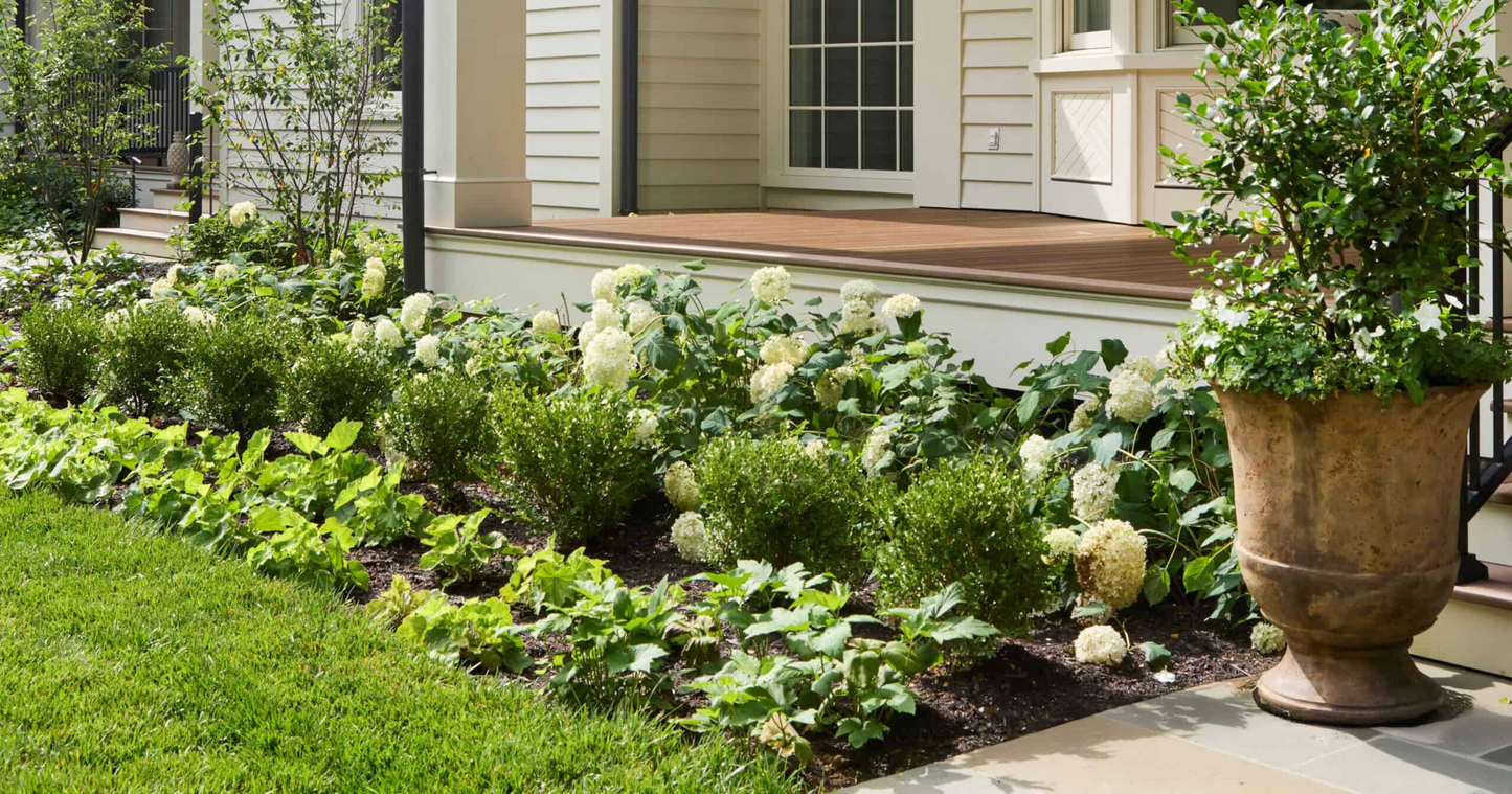 A First Impression that Lasts: Front Entry Design with Babylon Beauty