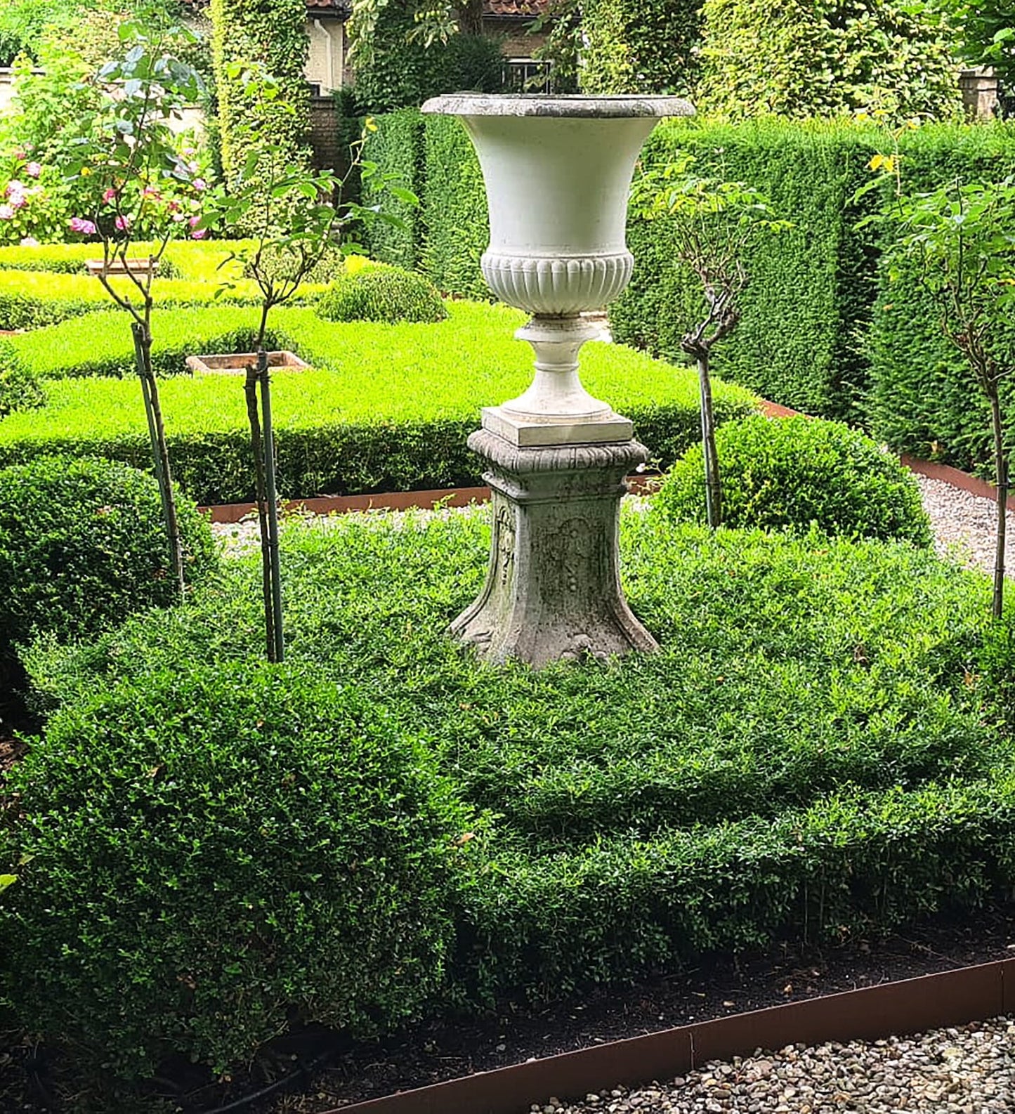 Better Boxwood Skylight in Formal Garden