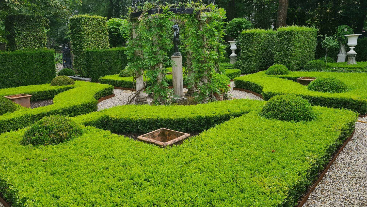Formal garden featuring Skylight
