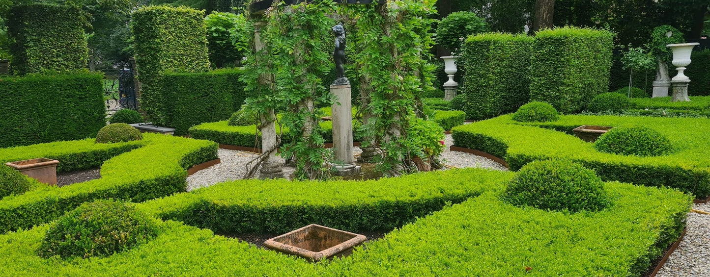 Formal garden featuring Skylight