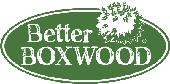 Logo for Better Boxwood featuring the brand name inside an oval with a cluster of boxwood leaves next to the word "Better Boxwood".