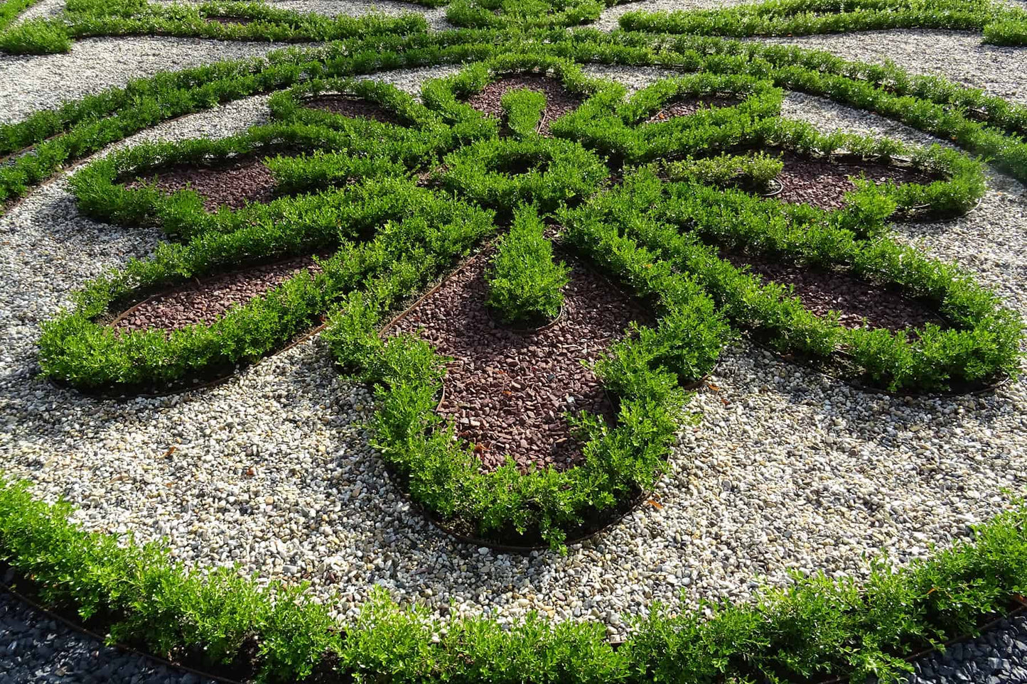 Renaissance planted in a formal garden