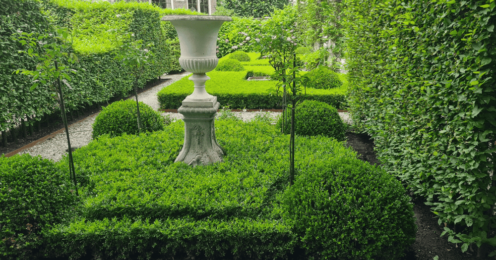 Planting and Maintaining Boxwood Borders and Hedges