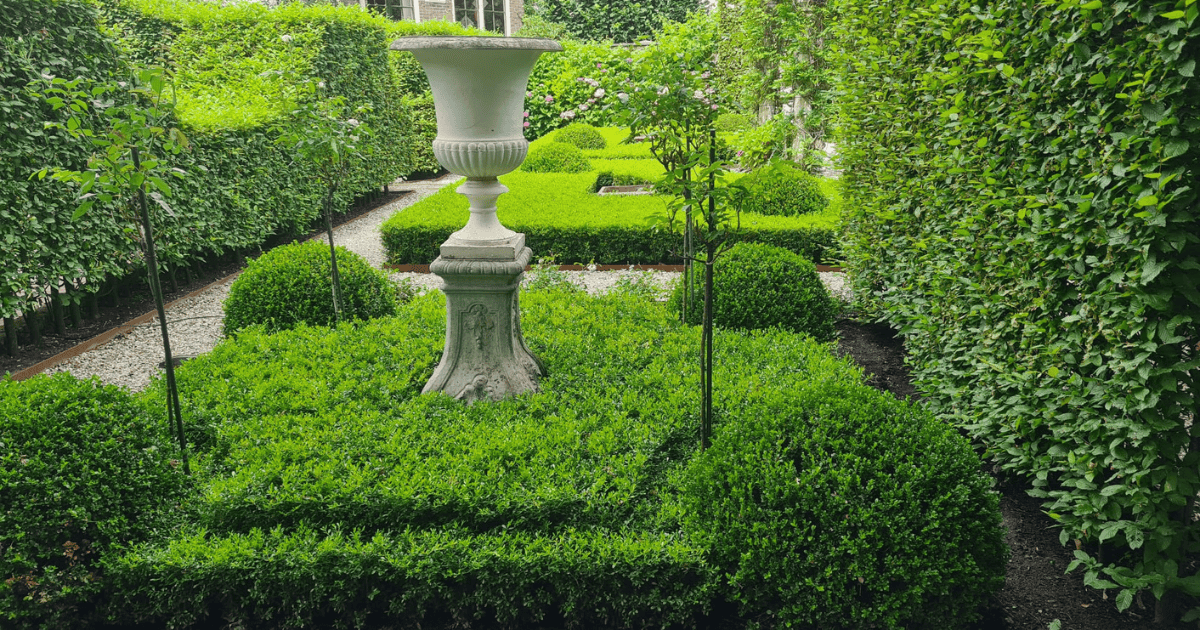 Planting and Maintaining Boxwood Borders and Hedges