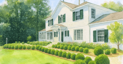 Boxwoods for Curb Appeal: A Smart Investment in Your Home’s Value