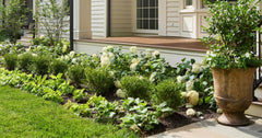 A First Impression that Lasts: Front Entry Design with Babylon Beauty