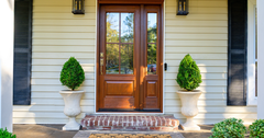 Boxwoods for Curb Appeal: A Smart Investment in Your Home’s Value