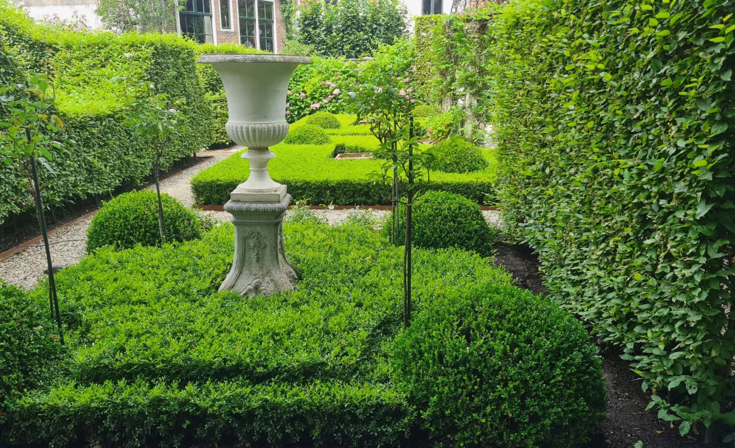 Formal garden with low Better Boxwood hedges and structured boxwood borders.