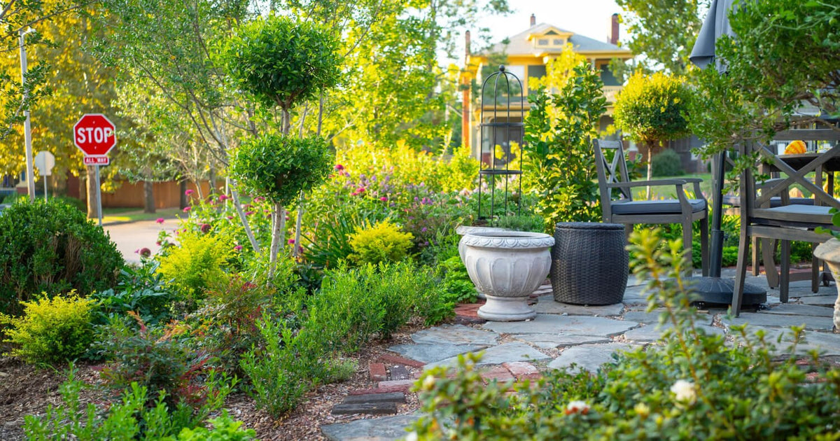 Companion plants arranged in front of Better Boxwood in Linda Vater's garden.