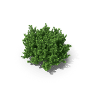 Logo von Better Boxwood