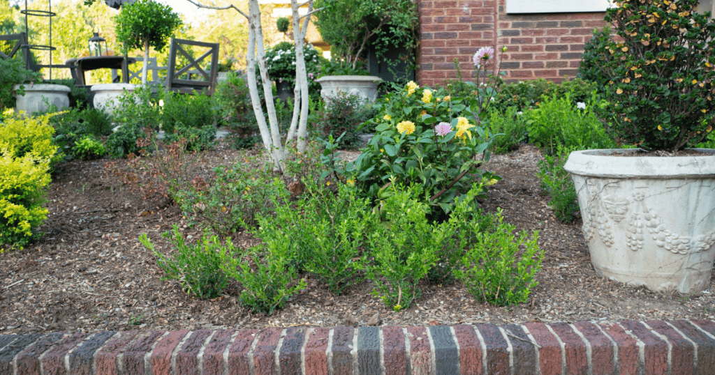 Garden with various plants, including bushes and flowering shrubs, surrounded by brick edging and a patio area with seating in the background.