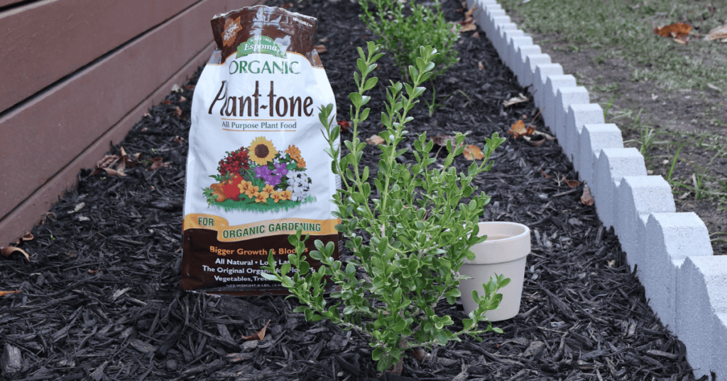 A young plant in mulch next to a bag of Espoma Plant-Tone fertilizer and a small empty pot.