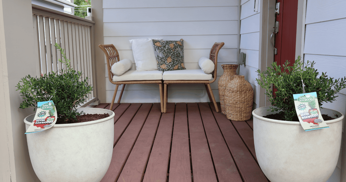 A small porch with a wooden bench featuring white cushions and a patterned pillow. Two potted plants with tags flank the entrance, and a woven basket is placed nearby.