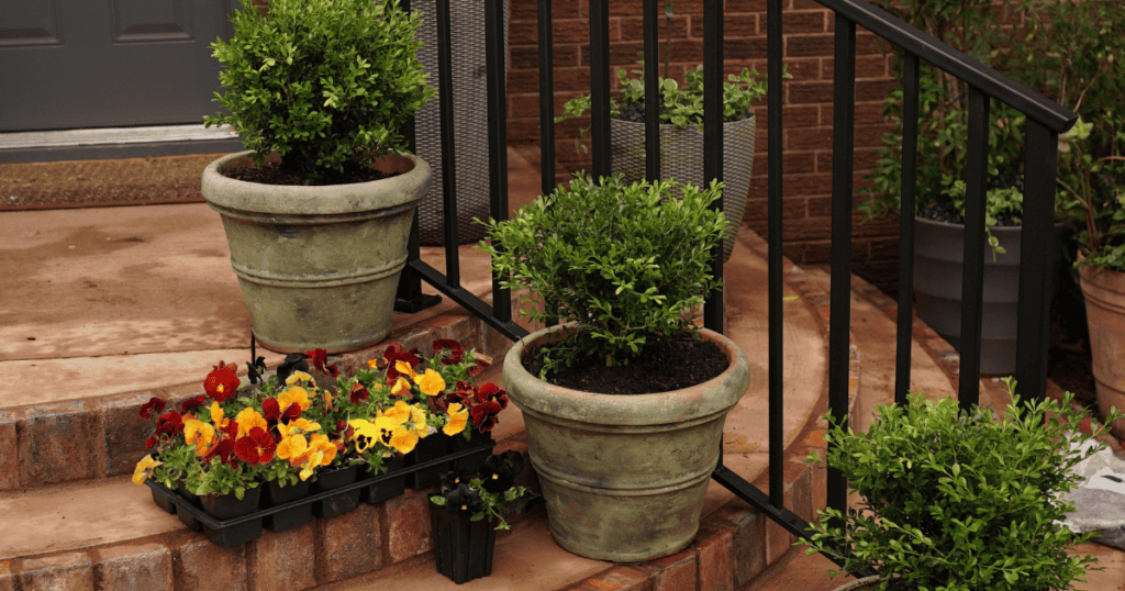 Potted plants and colorful flowers placed on steps beside a black railing, near a brick wall.